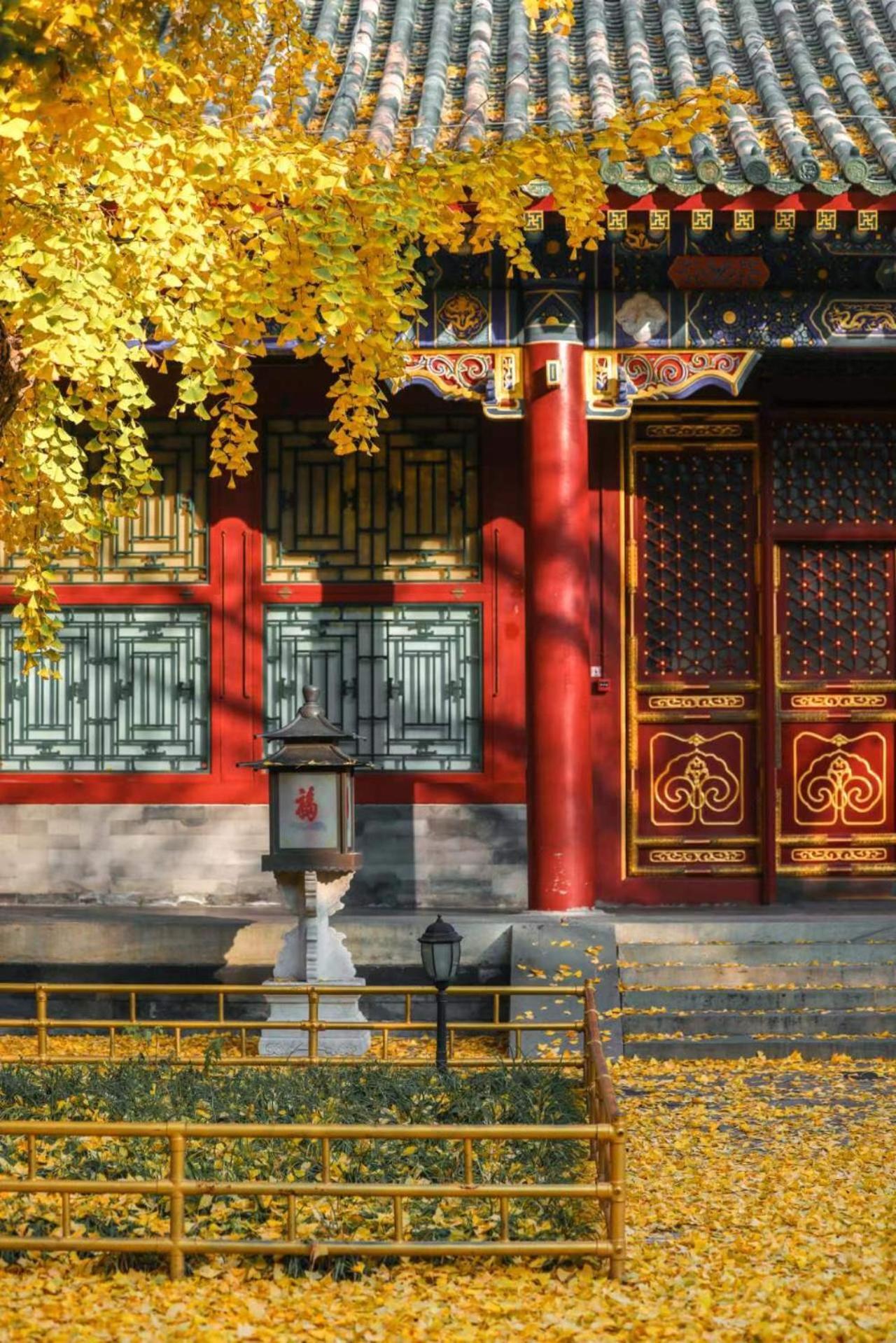 Nostalgia Hotel Near Prince Gong'S Mansion- Beihai Park, Tian'Anmen Square, Nanluoguxiang Hutong, Huguosi Hutong Snack Street, 5 Minutes Walk Away From Ping'Anli Subway Station, Free Ice Cream And Laundry Service,English Communication Well Pekin Dış mekan fotoğraf